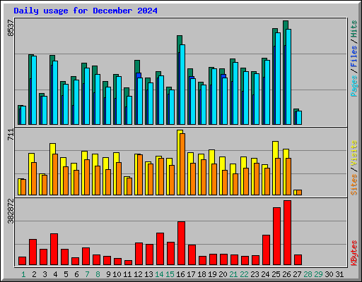 Daily usage for December 2024