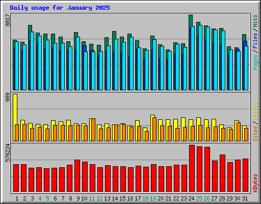 Daily usage for January 2025