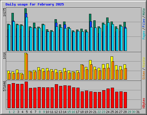 Daily usage for February 2025