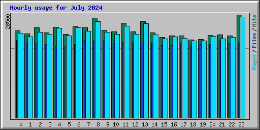 Hourly usage for July 2024