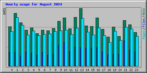 Hourly usage for August 2024