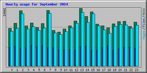 Hourly usage for September 2024