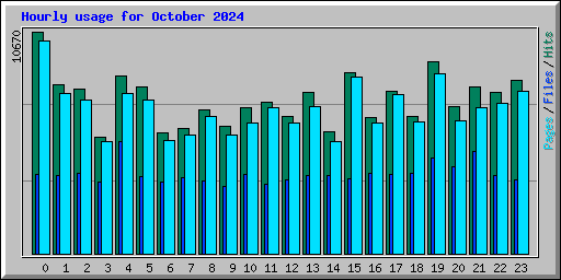 Hourly usage for October 2024