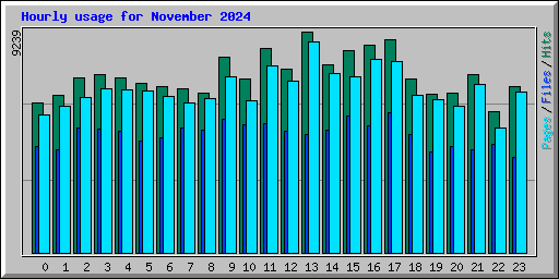 Hourly usage for November 2024