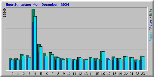 Hourly usage for December 2024