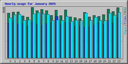 Hourly usage for January 2025