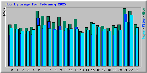 Hourly usage for February 2025