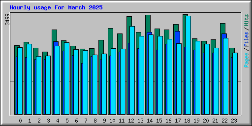 Hourly usage for March 2025