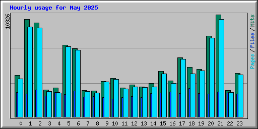 Hourly usage for May 2025