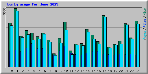 Hourly usage for June 2025