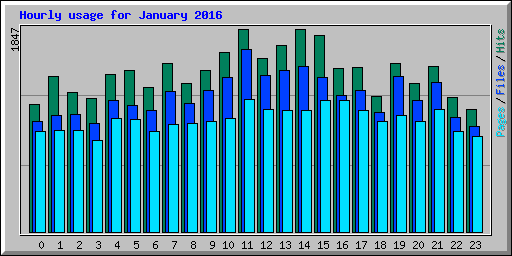 Hourly usage for January 2016