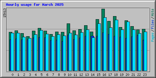 Hourly usage for March 2025