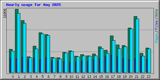 Hourly usage for May 2025