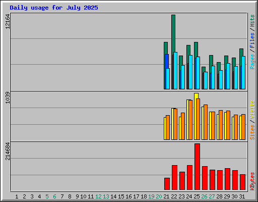 Daily usage for July 2025