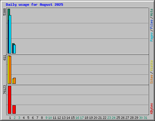 Daily usage for August 2025