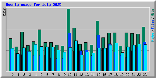 Hourly usage for July 2025