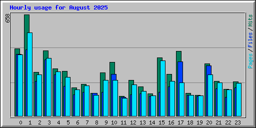 Hourly usage for August 2025