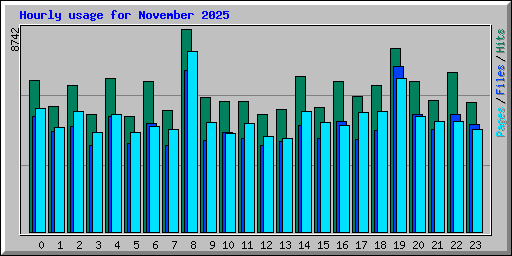 Hourly usage for November 2025