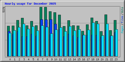 Hourly usage for December 2025