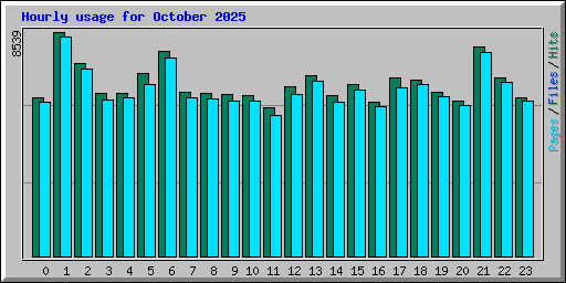Hourly usage for October 2025