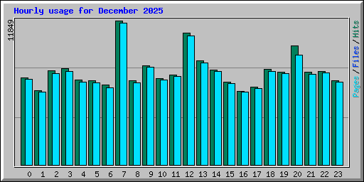 Hourly usage for December 2025