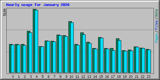 Hourly usage for January 2026