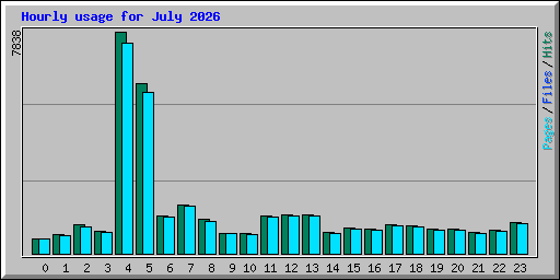 Hourly usage for July 2026