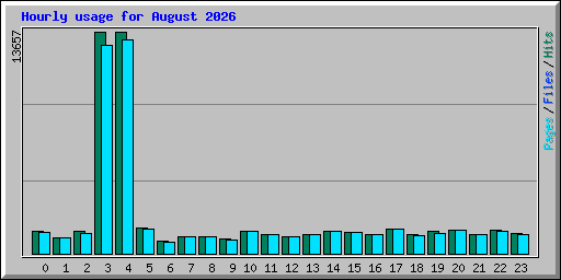Hourly usage for August 2026