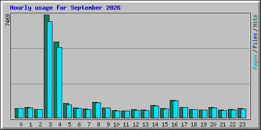Hourly usage for September 2026