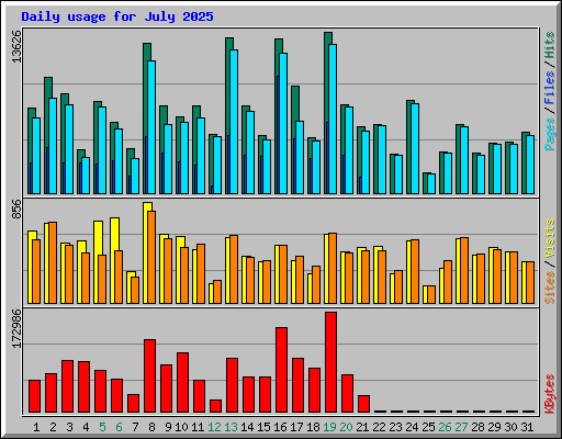 Daily usage for July 2025