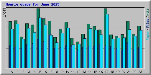 Hourly usage for June 2025